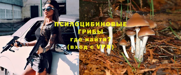 первитин Алексеевка